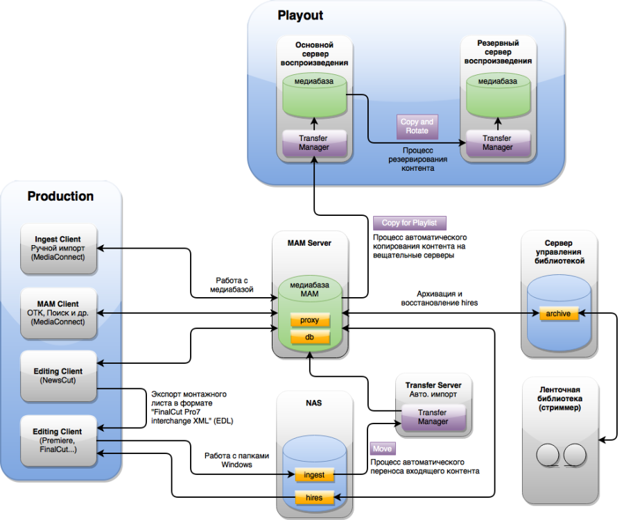 mam_organization_scheme.png