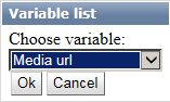 program_actions_variablelist.png